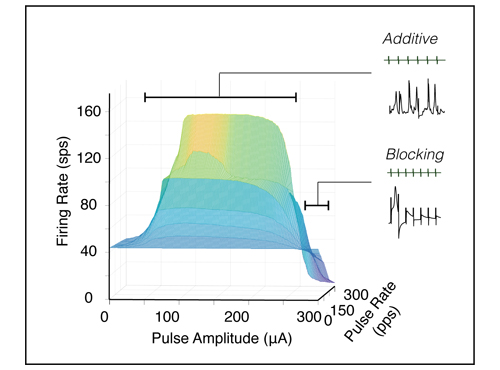 Rules of Pulsatile Stimulation